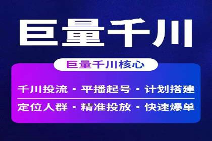 SEO与SEM融合策略：成功案例解析